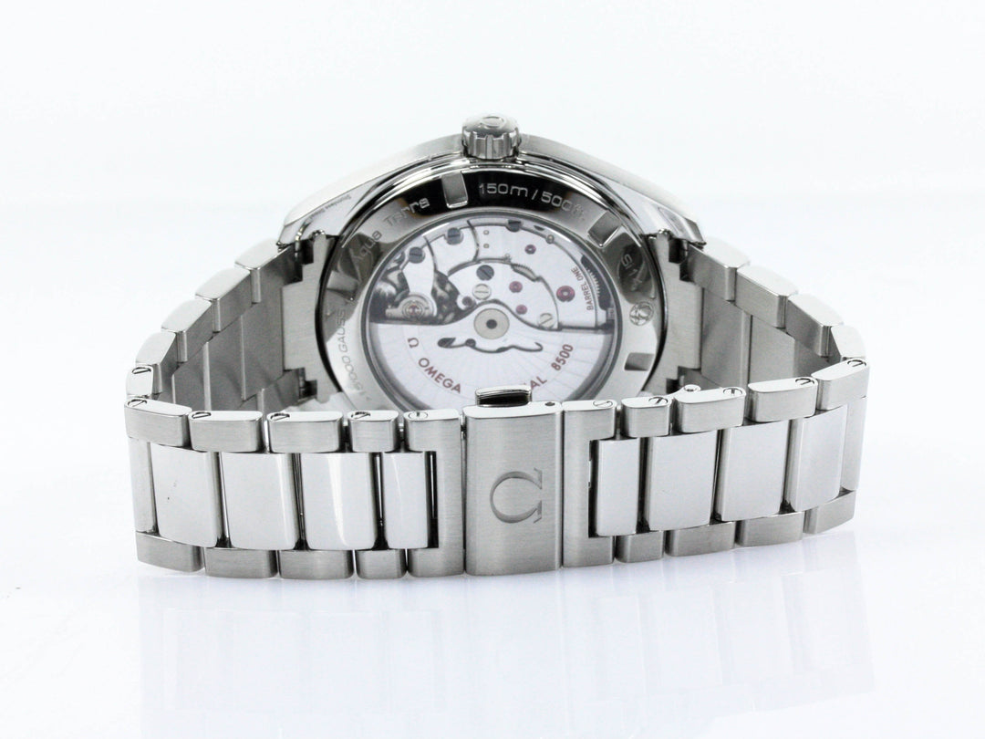 Seamaster Aqua Terra Referenz 23110422103003