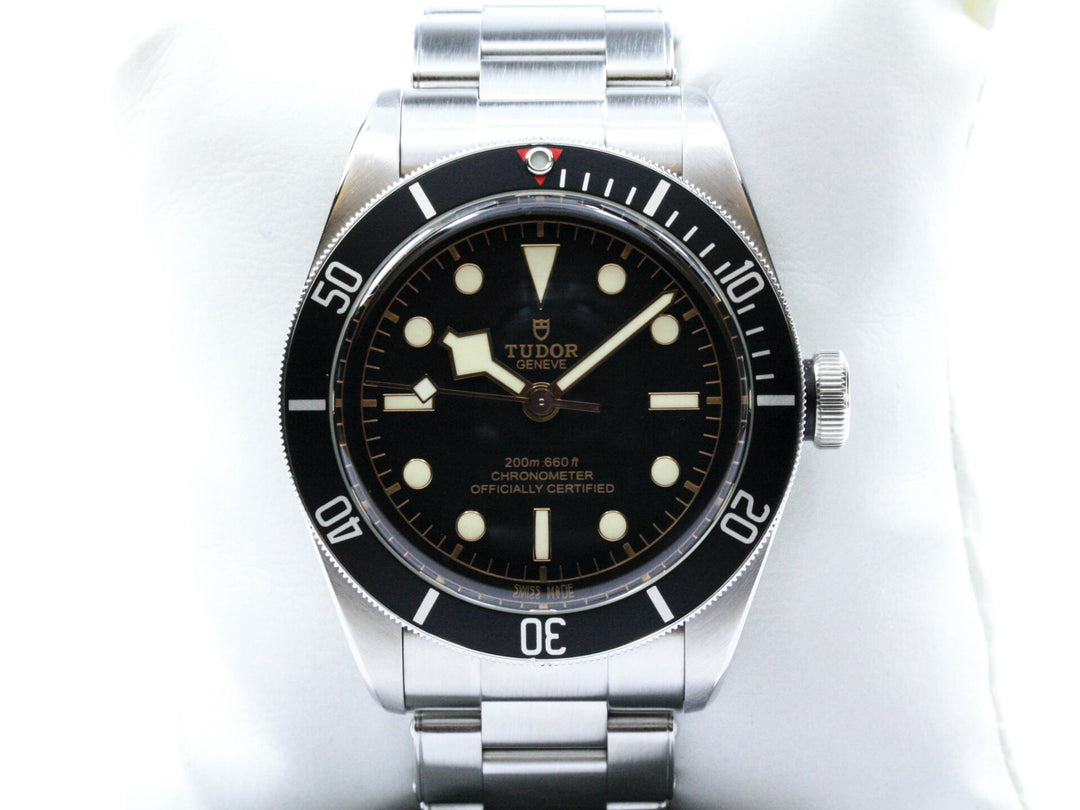 79230N_Tudor_Black_Bay_41mm_Stahl:Stahl_Serial_Q289XXX_FSet_2020_1