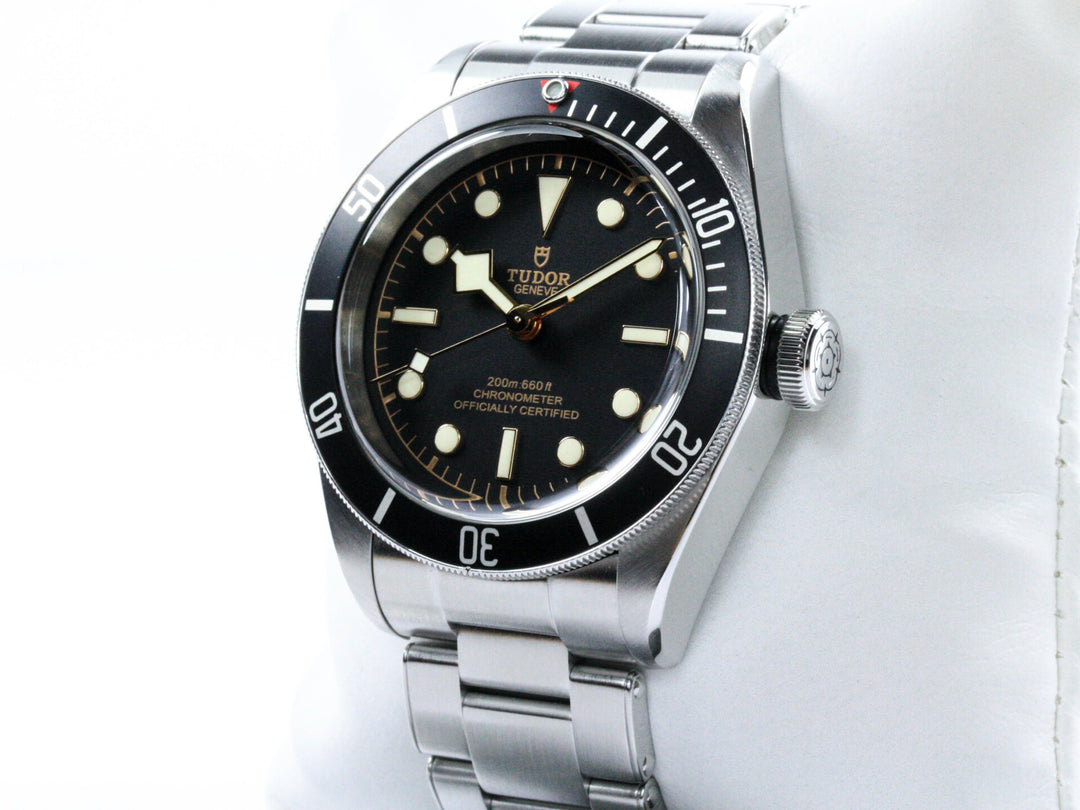 79230N_Tudor_Black_Bay_41mm_Stahl:Stahl_Serial_Q289XXX_FSet_2020_2
