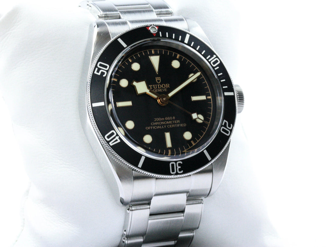 79230N_Tudor_Black_Bay_41mm_Stahl:Stahl_Serial_Q289XXX_FSet_2020_3