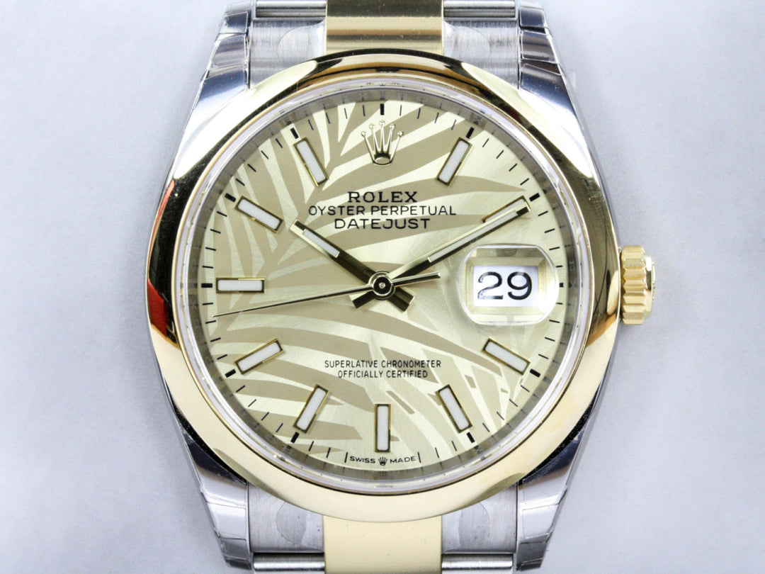126203_RLX_Datejust_Bicolor_Oyster_Palm_Leaf_Dial_NEW_Verklebt_2021_FSet_1-scaled