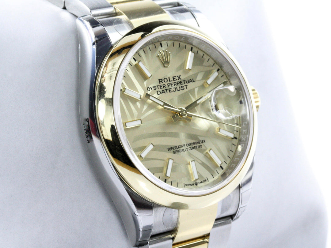 126203_RLX_Datejust_Bicolor_Oyster_Palm_Leaf_Dial_NEW_Verklebt_2021_FSet_3-scaled