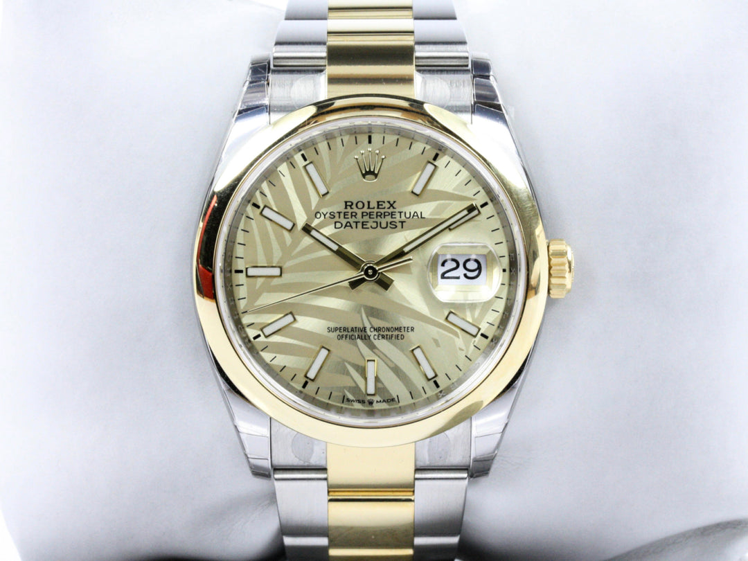 126203_RLX_Datejust_Bicolor_Oyster_Palm_Leaf_Dial_NEW_Verklebt_2021_FSet_4-scaled