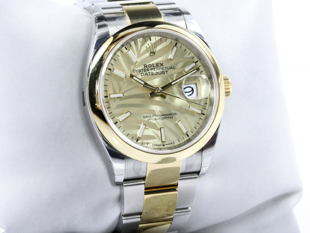 126203_RLX_Datejust_Bicolor_Oyster_Palm_Leaf_Dial_NEW_Verklebt_2021_FSet_6-scaled