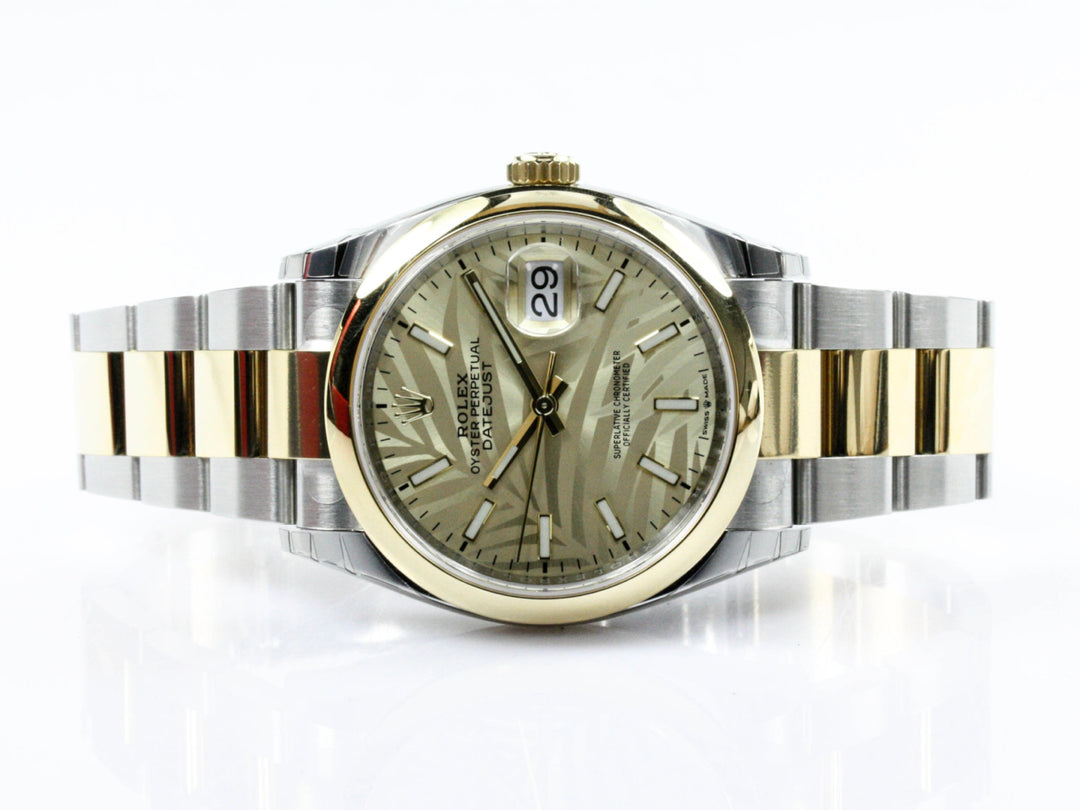 126203_RLX_Datejust_Bicolor_Oyster_Palm_Leaf_Dial_NEW_Verklebt_2021_FSet_8-scaled