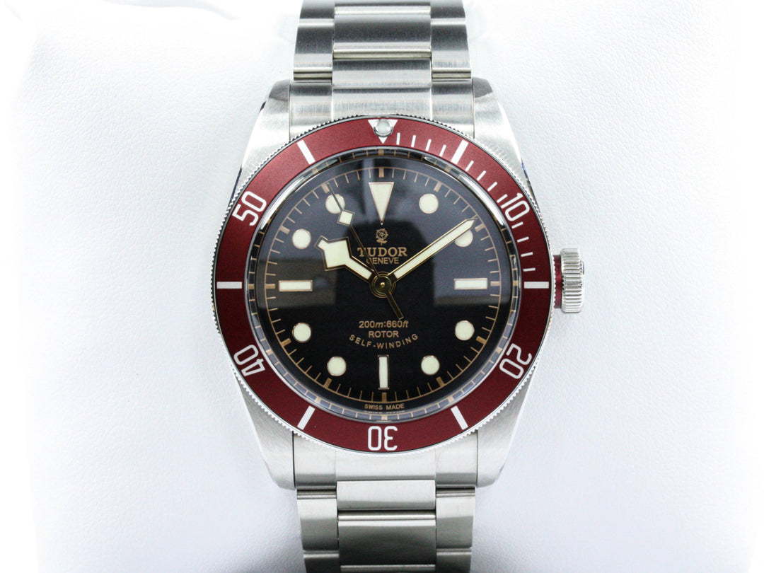 79220R_Tudor_Black_Bay_Rot_41_Schwarz_Smiley_FSet_Wempe_4-scaled
