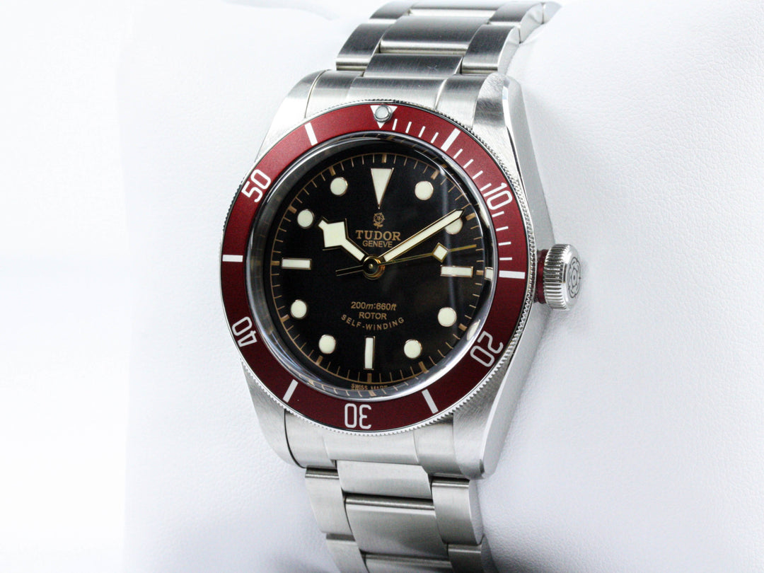 79220R_Tudor_Black_Bay_Rot_41_Schwarz_Smiley_FSet_Wempe_5-scaled