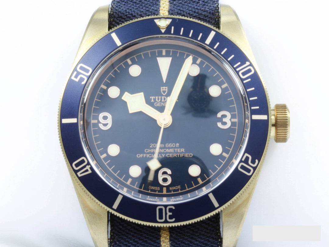 79250BB_Tudor_Heritage_Bronze_Bucherer_FSet_1-scaled