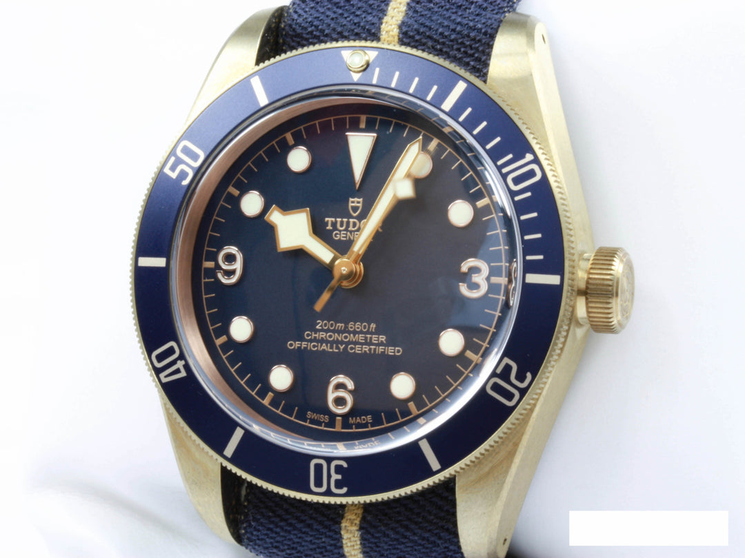79250BB_Tudor_Heritage_Bronze_Bucherer_FSet_2-scaled