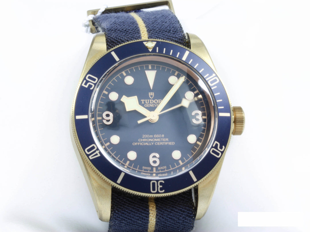79250BB_Tudor_Heritage_Bronze_Bucherer_FSet_6-scaled