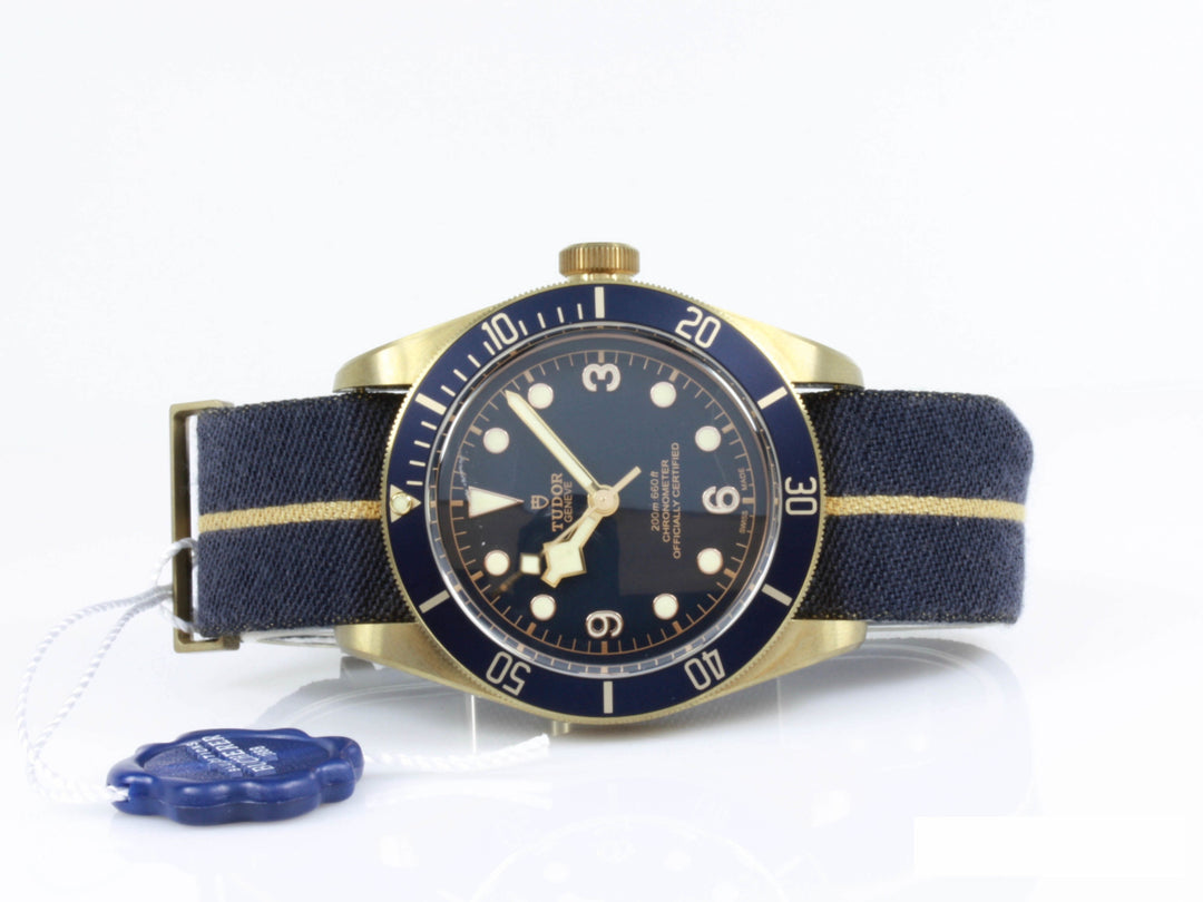 79250BB_Tudor_Heritage_Bronze_Bucherer_FSet_8-scaled