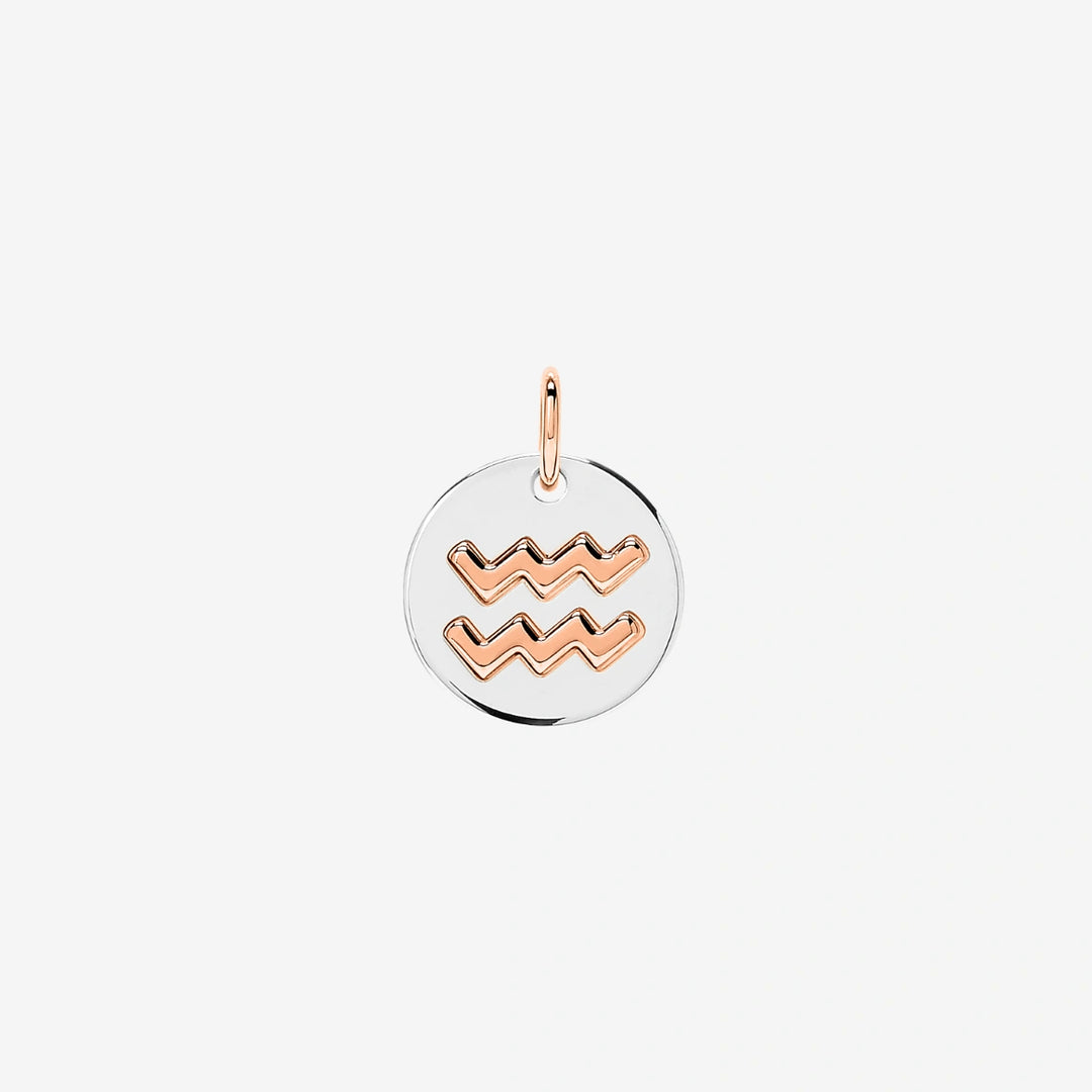 DMC2012_ZODAC_0009A_010_Dodo_aquarius-charm-silver-9k-rose-gold