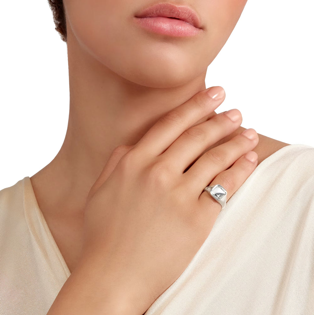 Ring Siegel aus Silber mit weißem Diamanten